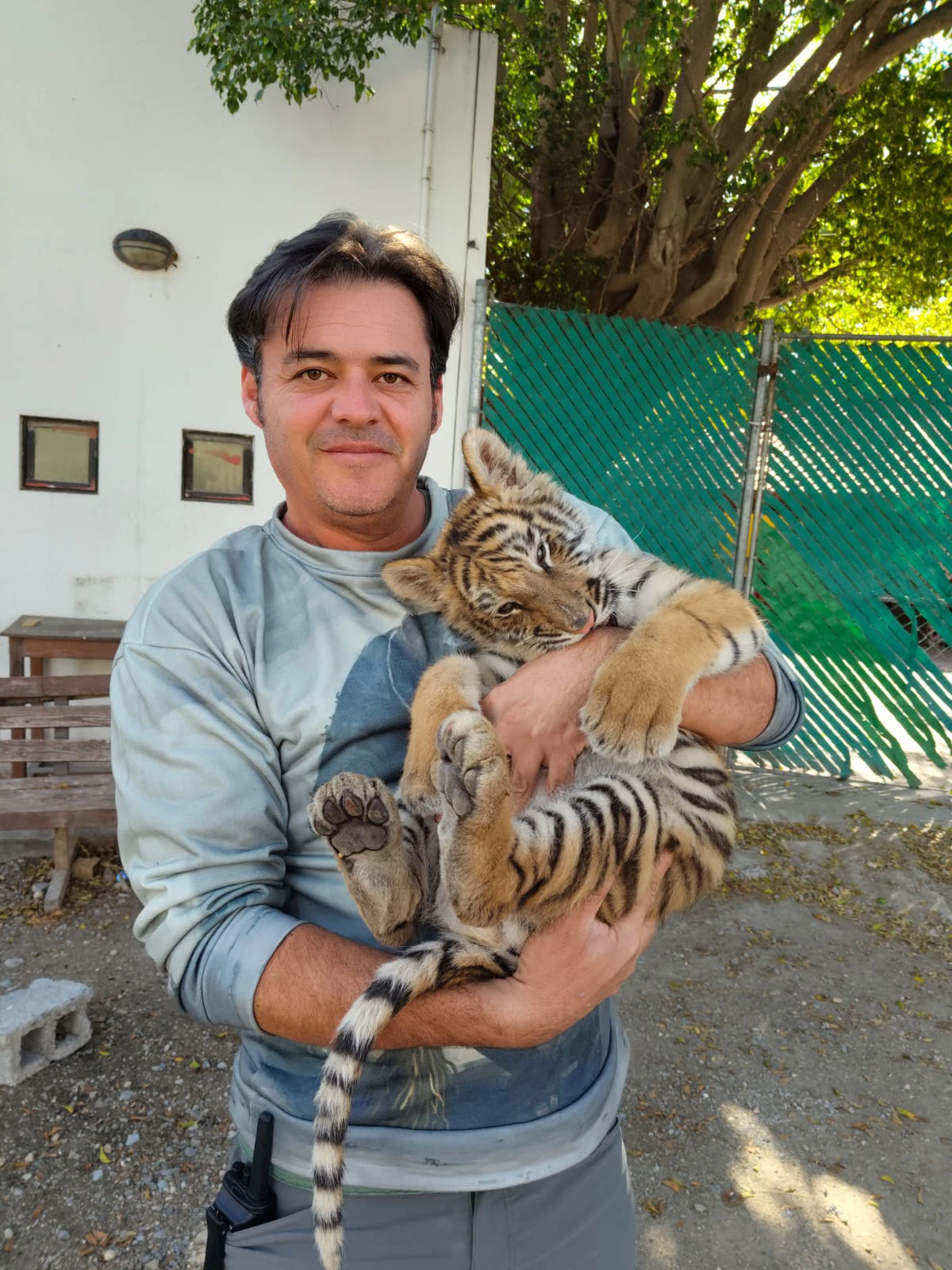Gabriel Navarro con cachorro de tigre - Manejo de fauna y etología